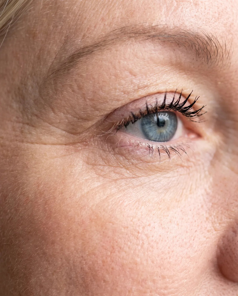 Äußere Wimpern ohne Farbe