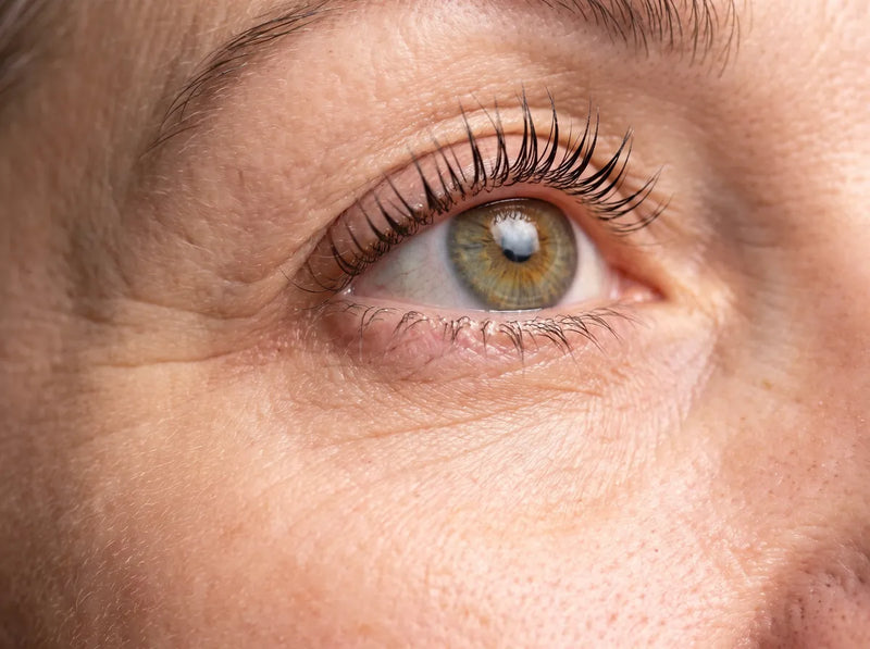 Gepflegte, getrennte Wimpern