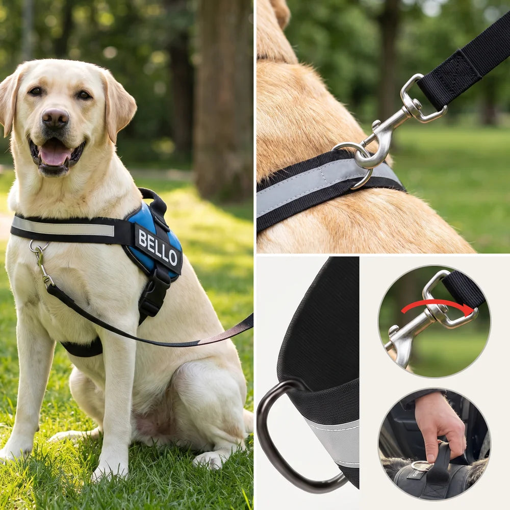 Collage: links groß ein großer Hund im Tierloop-Geschirr mit Namensschild; rechts oben der Umkehr-Ring vorn auf der Brust mit eingehakter Leine; rechts unten zwei Kreise: der Stahl-Karabiner und der Haltegriff