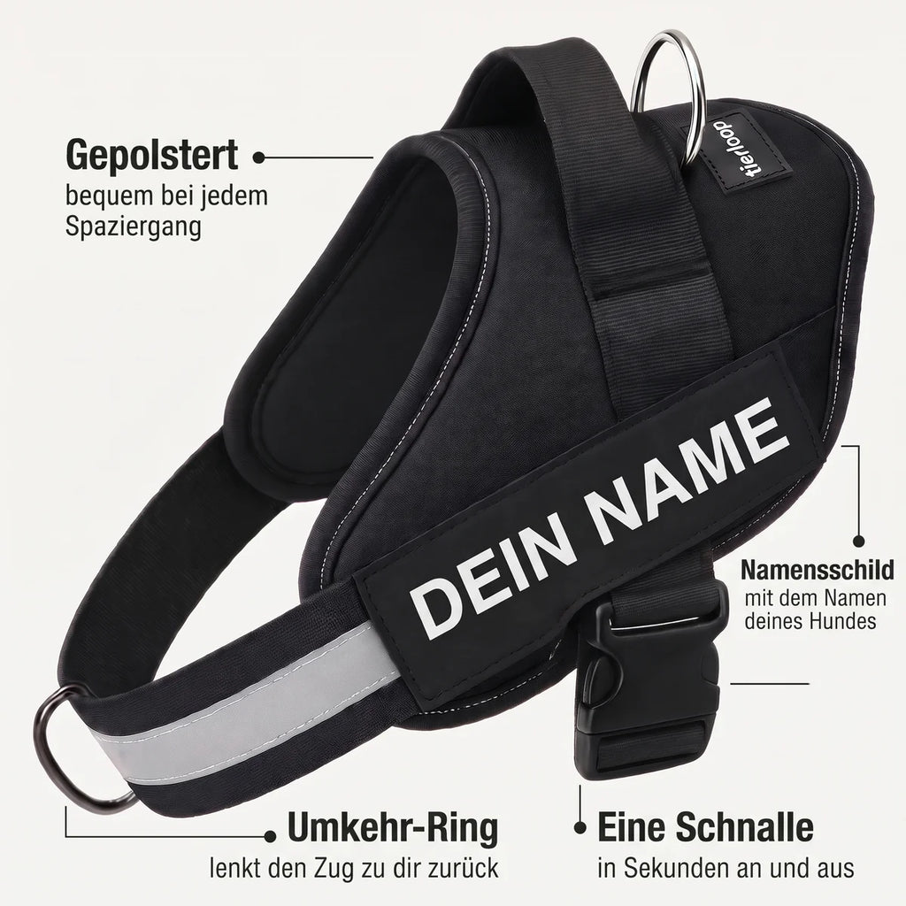 Die vier Vorteile des Geschirrs