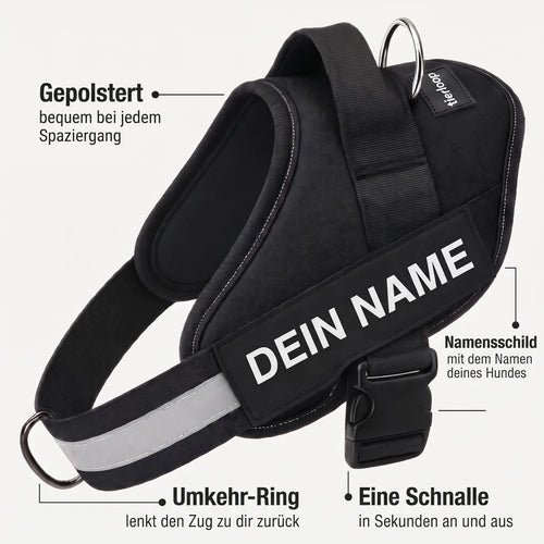 Die vier Vorteile des Geschirrs