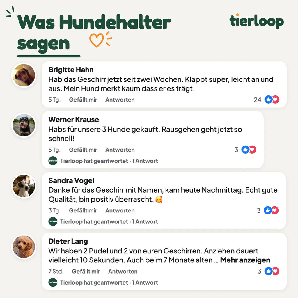 Kommentare von Hundehaltern