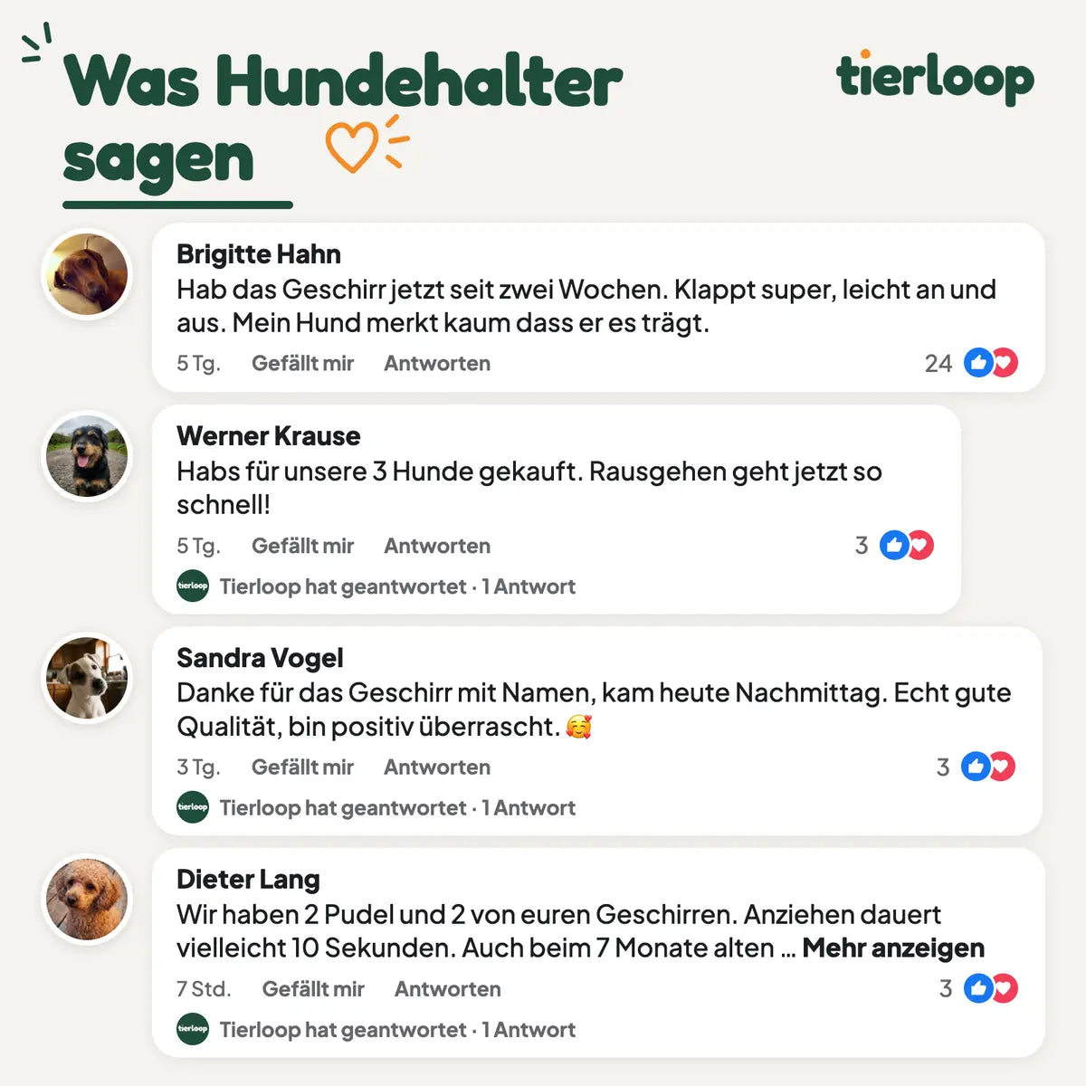 Kommentare von Hundehaltern