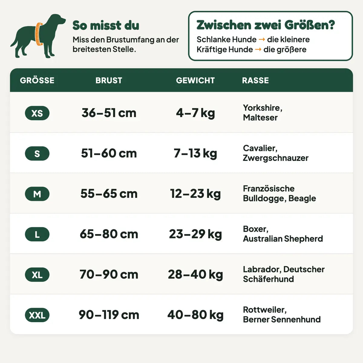 Größentabelle in cm und kg